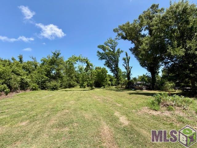 857 Highway 55 Montegut, LA 70377 - Photo 18 of 20 Backyard
