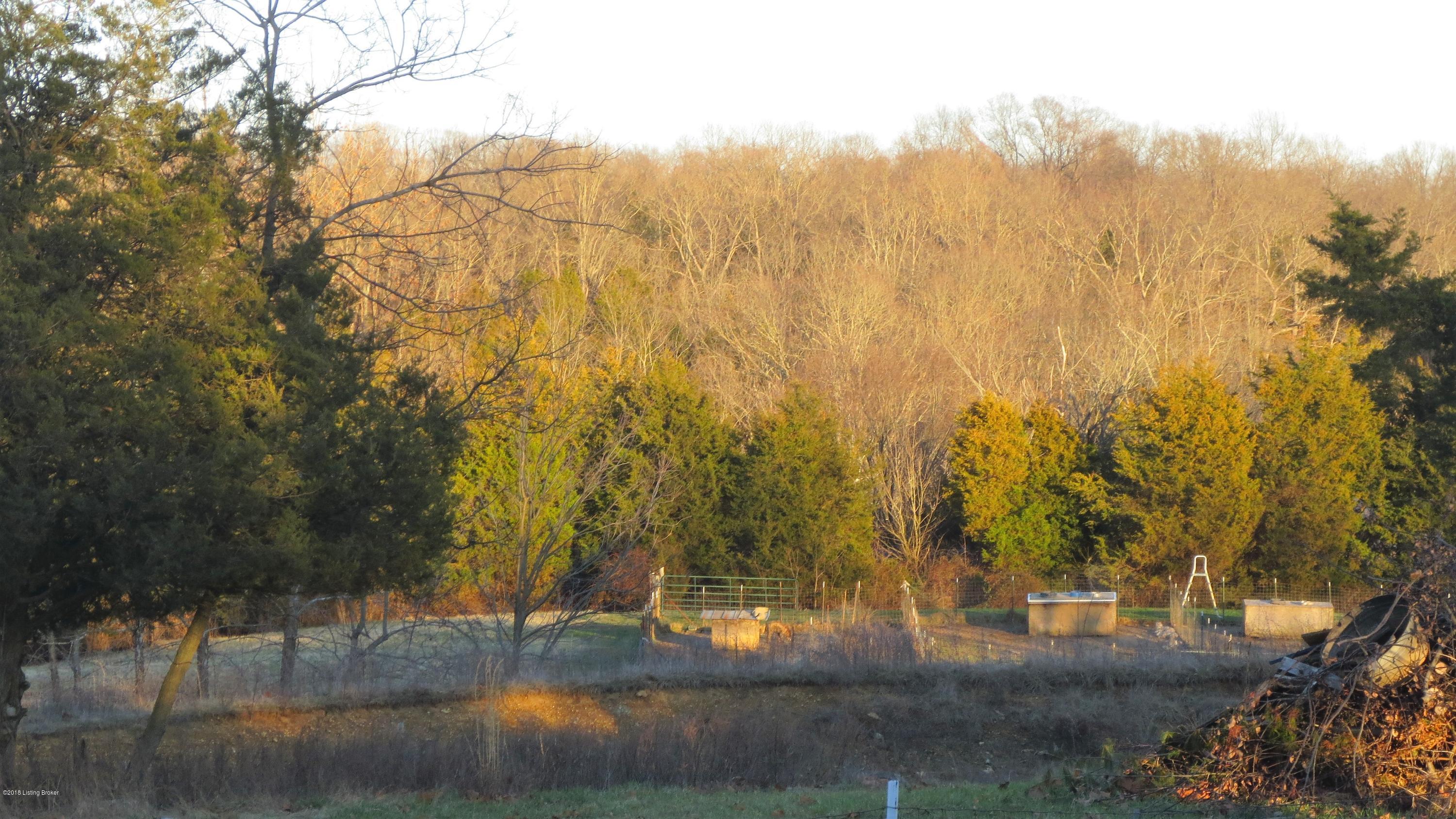 153 Ridgetop Drive Pendleton, KY 40055 - Photo 4 of 15 great privacy