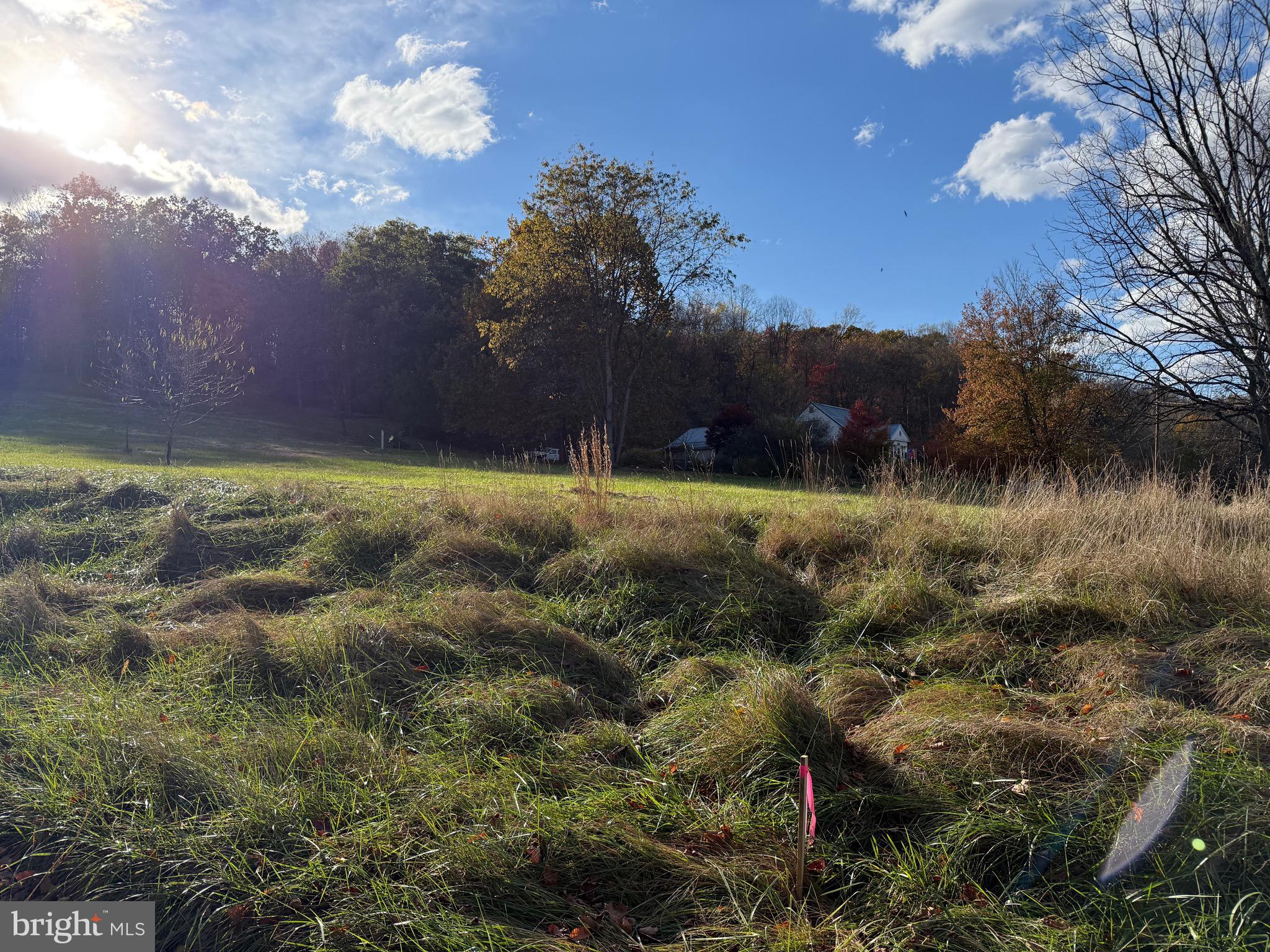 7178 Martinsburg Road Berkeley Springs, WV 25411 - Photo 25 of 34 Setting
