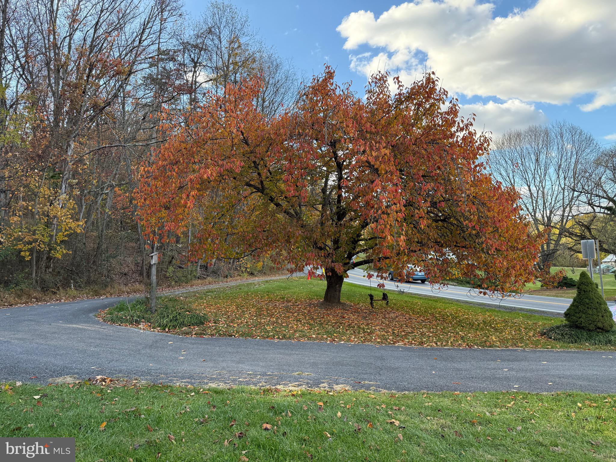 7178 Martinsburg Road Berkeley Springs, WV 25411 - Photo 26 of 34 Setting