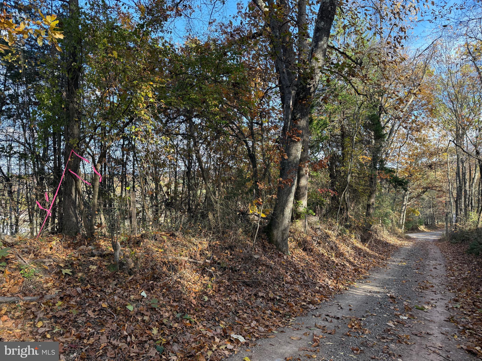 7178 Martinsburg Road Berkeley Springs, WV 25411 - Photo 27 of 34 Setting