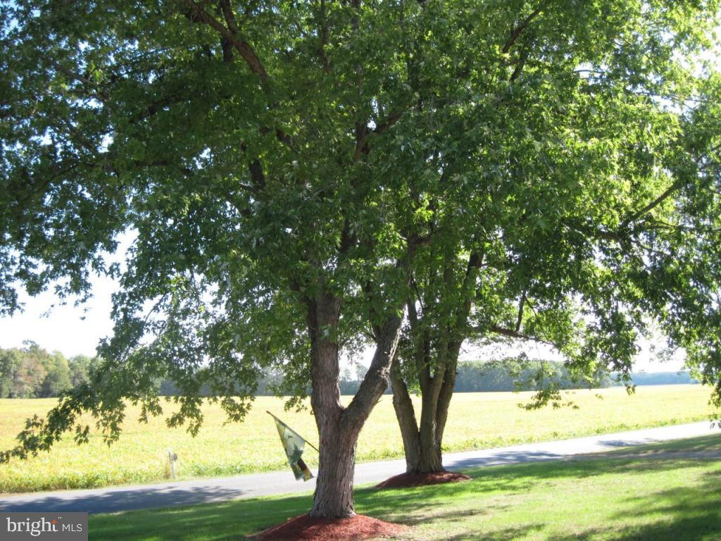 8617 Sandyfield Road Berlin, MD 21811 - Photo 18 of 22