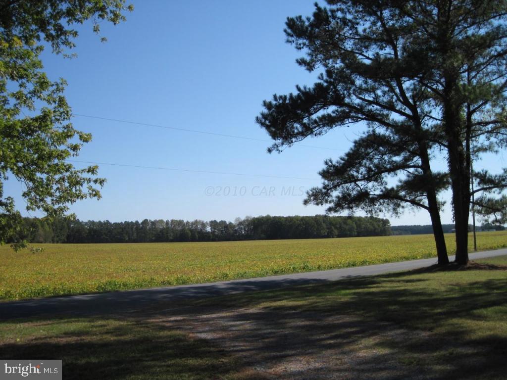 8617 Sandyfield Road Berlin, MD 21811 - Photo 3 of 22