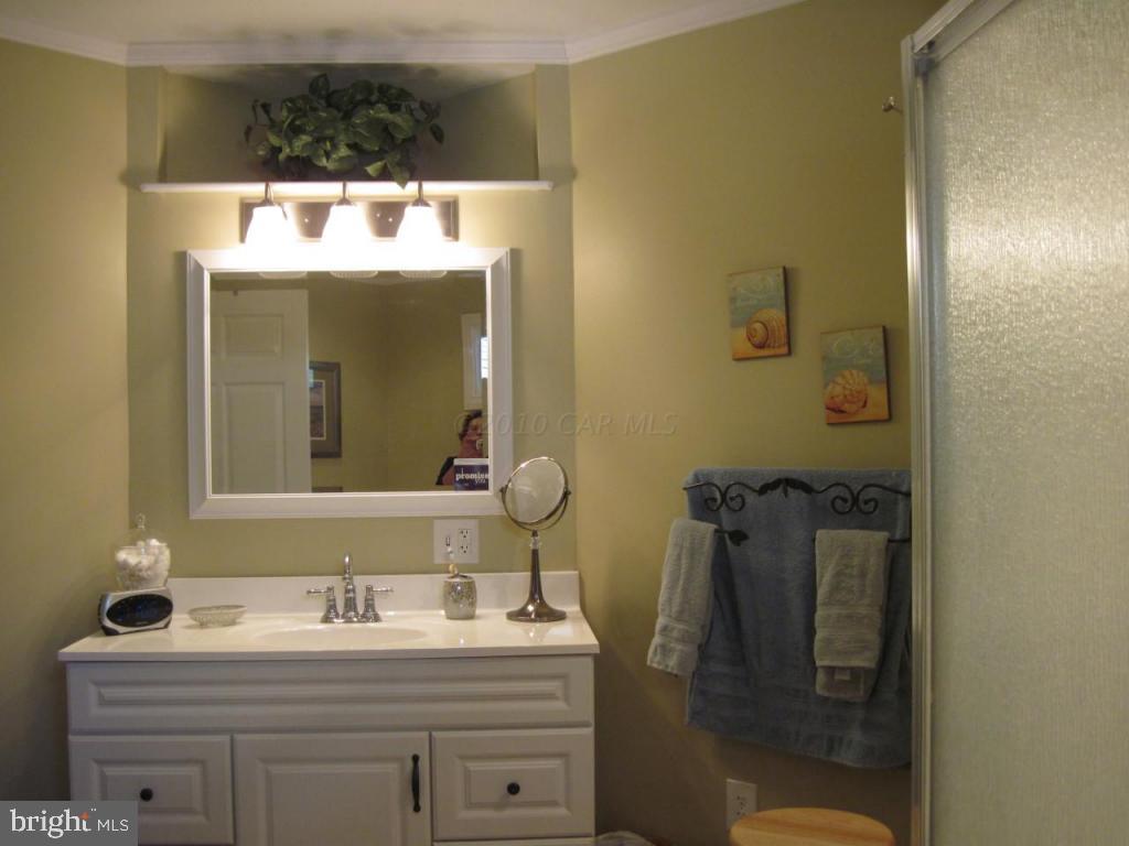 8617 Sandyfield Road Berlin, MD 21811 - Photo 10 of 22