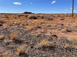 4262 Well Field Road, Unit 26 Winslow, AZ 86047 - Photo 2 of 8 IMG_4103