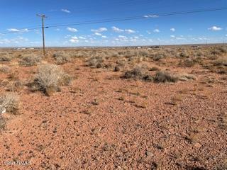 4262 Well Field Road, Unit 26 Winslow, AZ 86047 - Photo 5 of 8 IMG_4107