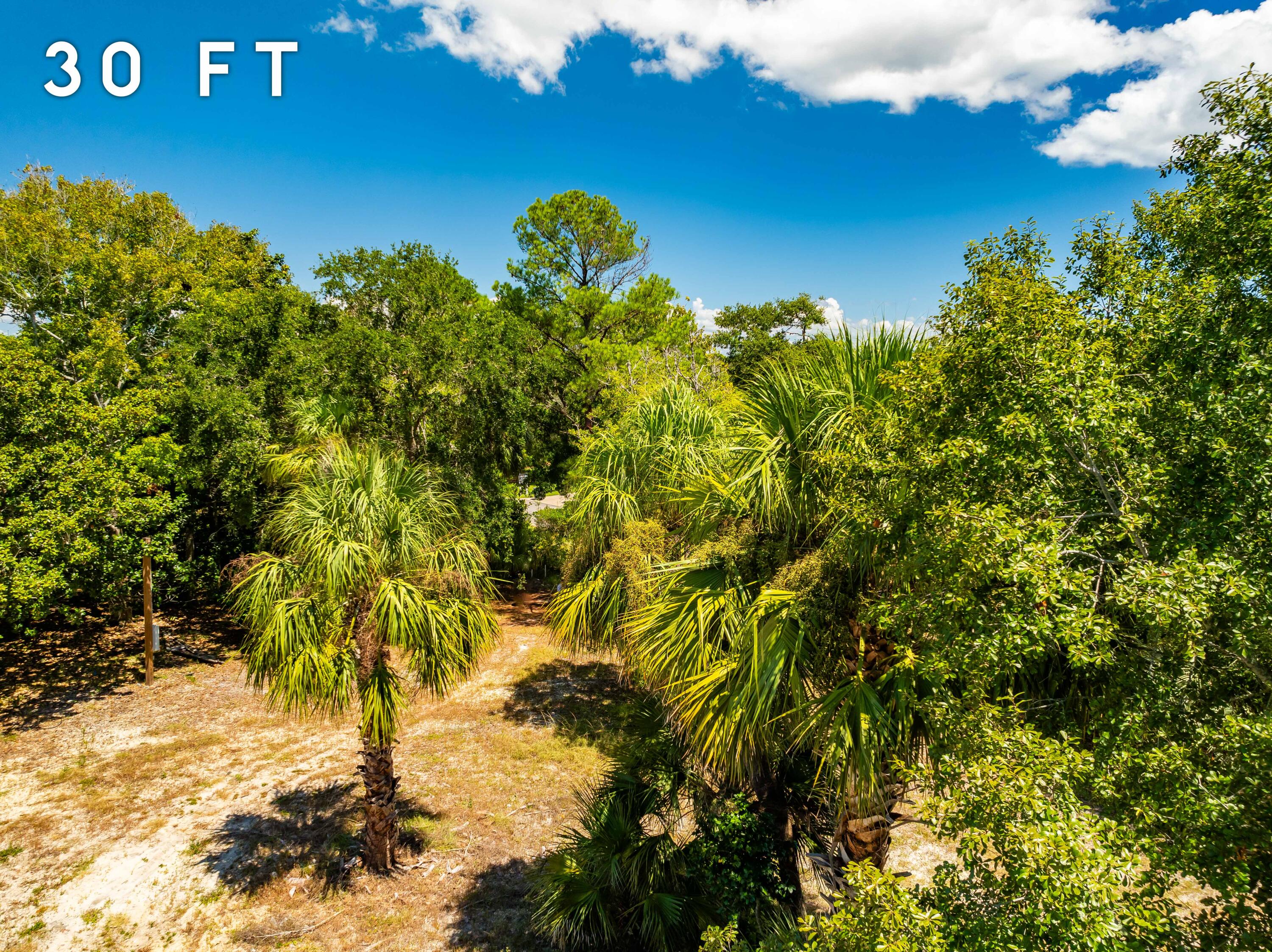 0 Overlook Drive Miramar Beach, FL 32550 - Photo 13 of 19 a view of a tree