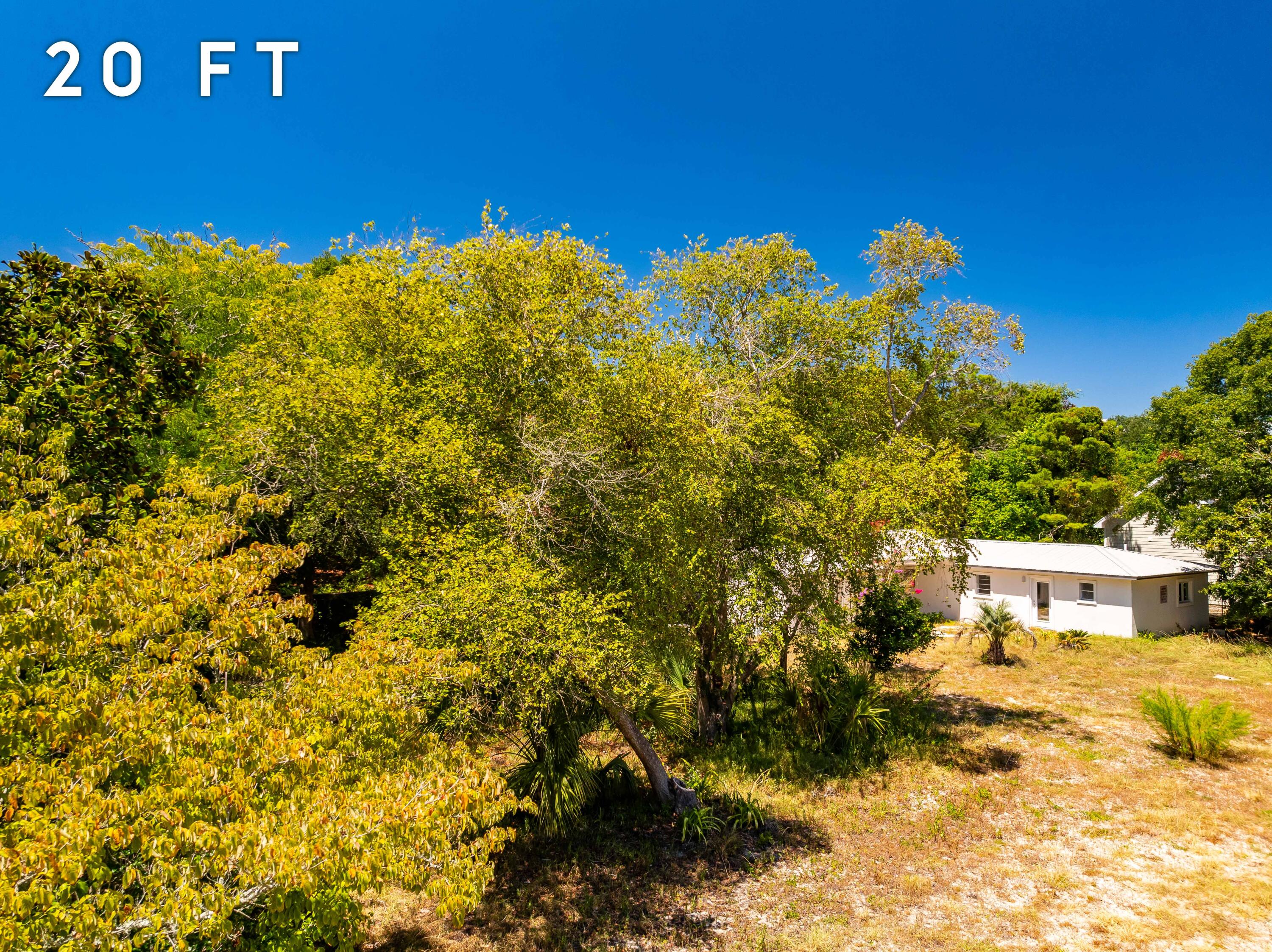 0 Overlook Drive Miramar Beach, FL 32550 - Photo 14 of 19 a view of a bunch of trees and bushes