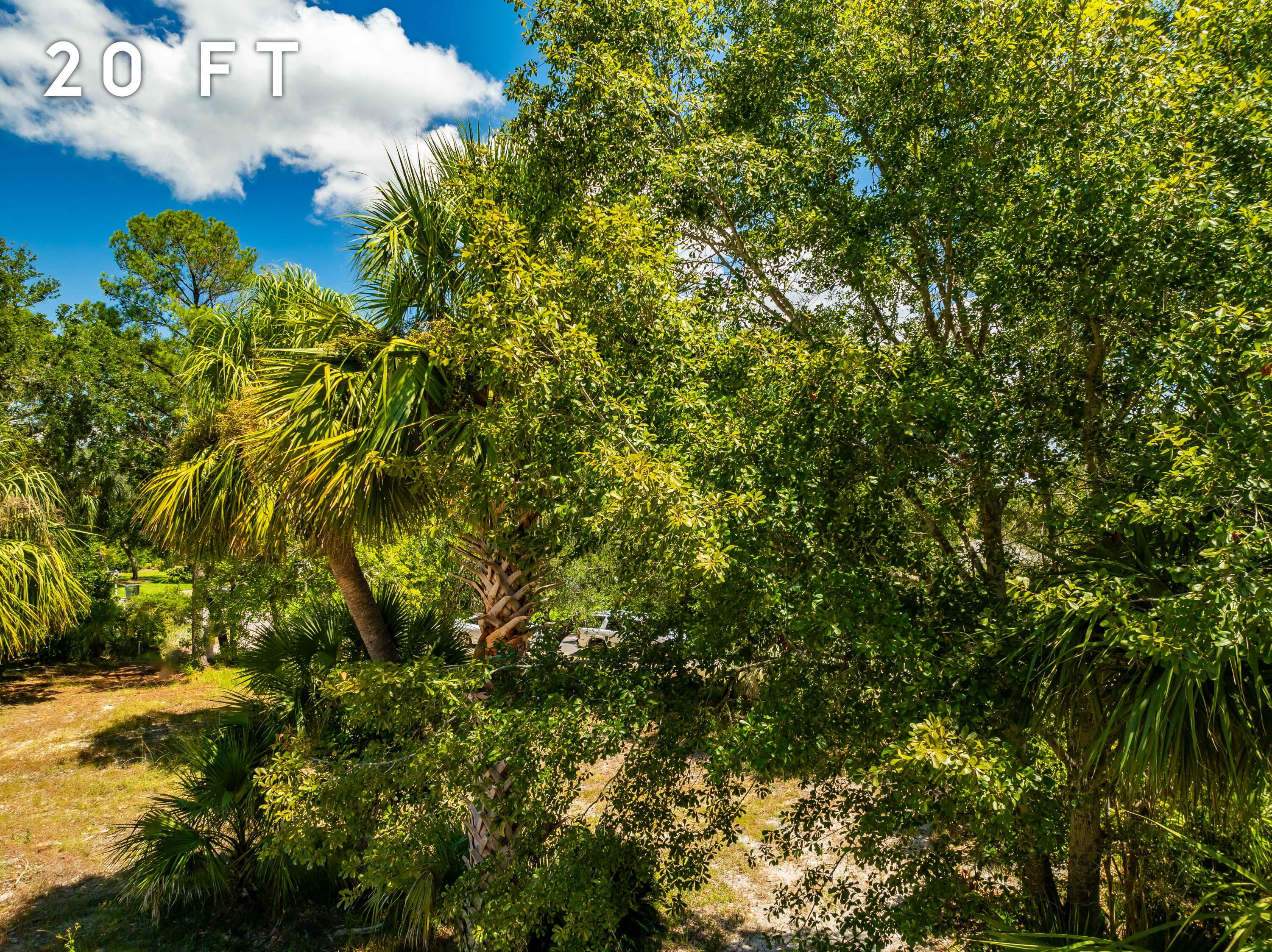 0 Overlook Drive Miramar Beach, FL 32550 - Photo 16 of 19 a view of a tree