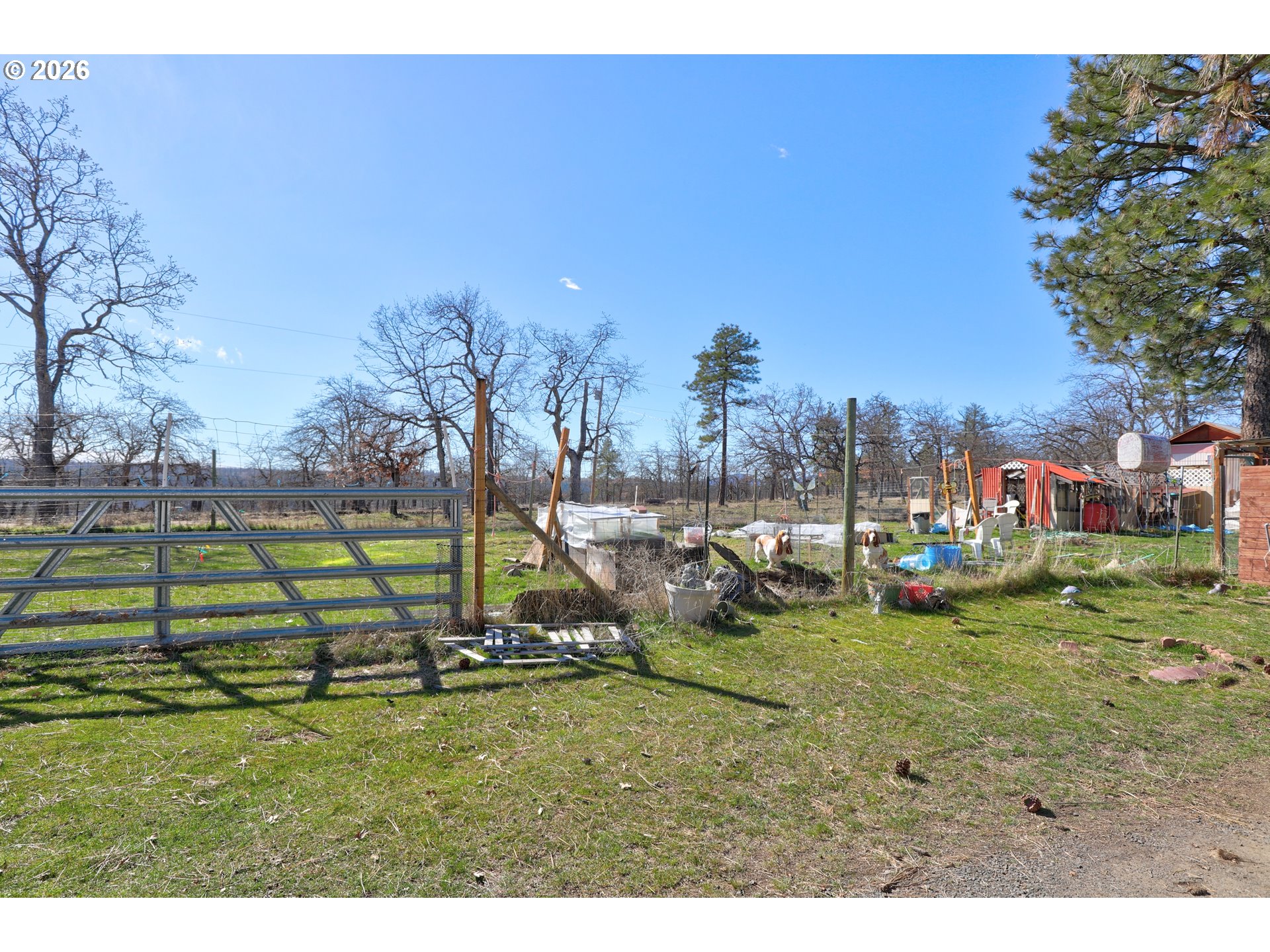 80165 Ridgetop Road Dufur, OR 97021 - Photo 37 of 43 a view of a park with large trees
