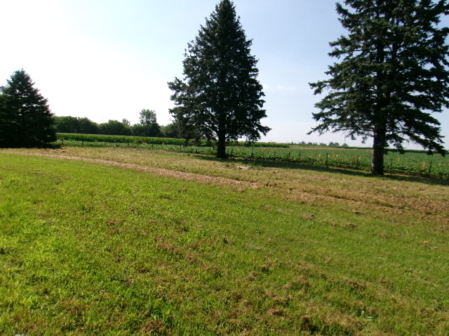 1074 North 2nd Road Dana, IL 61321 - Photo 11 of 14 Gallery Image 11
