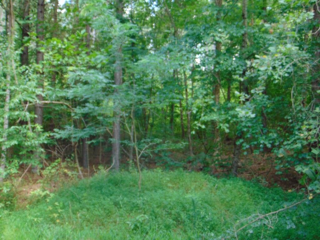 0 Chathem Road Decatur, TN 37322 - Photo 2 of 20