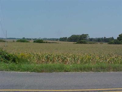 Hinchman Road Berrien Springs, MI 49103 - Photo 1 of 3 Primary Photo