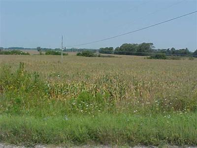 Hinchman Road Berrien Springs, MI 49103 - Photo 3 of 3 Additional Photo