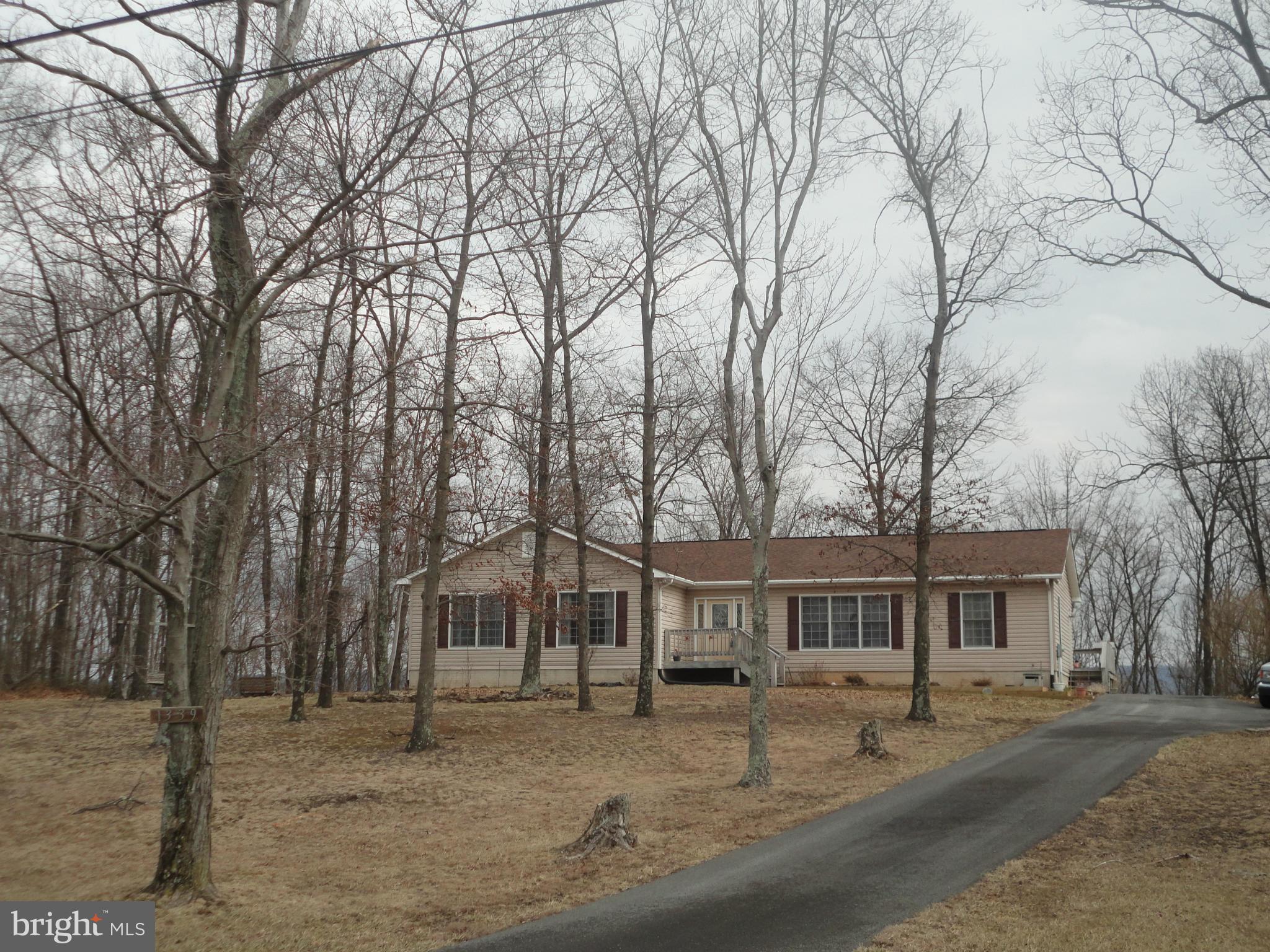 1339 Libby's Ridge Road Berkeley Springs, WV 25411 - Photo 14 of 25 wooded usable front yard