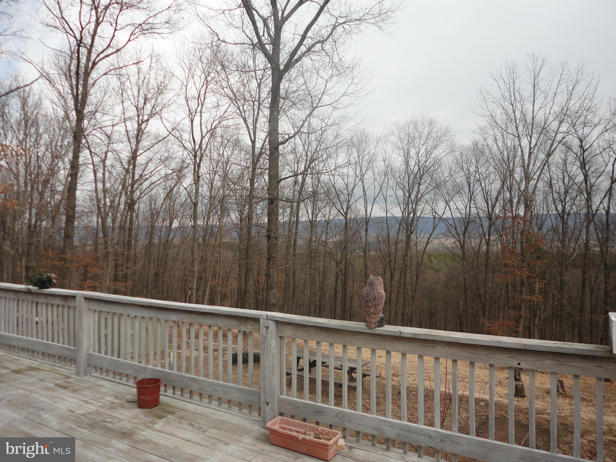 1339 Libby's Ridge Road Berkeley Springs, WV 25411 - Photo 4 of 25 mountain views from the rear deck