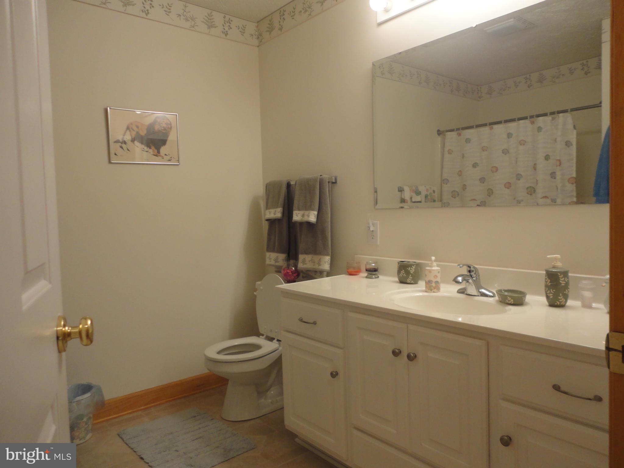 1339 Libby's Ridge Road Berkeley Springs, WV 25411 - Photo 10 of 25 Bath