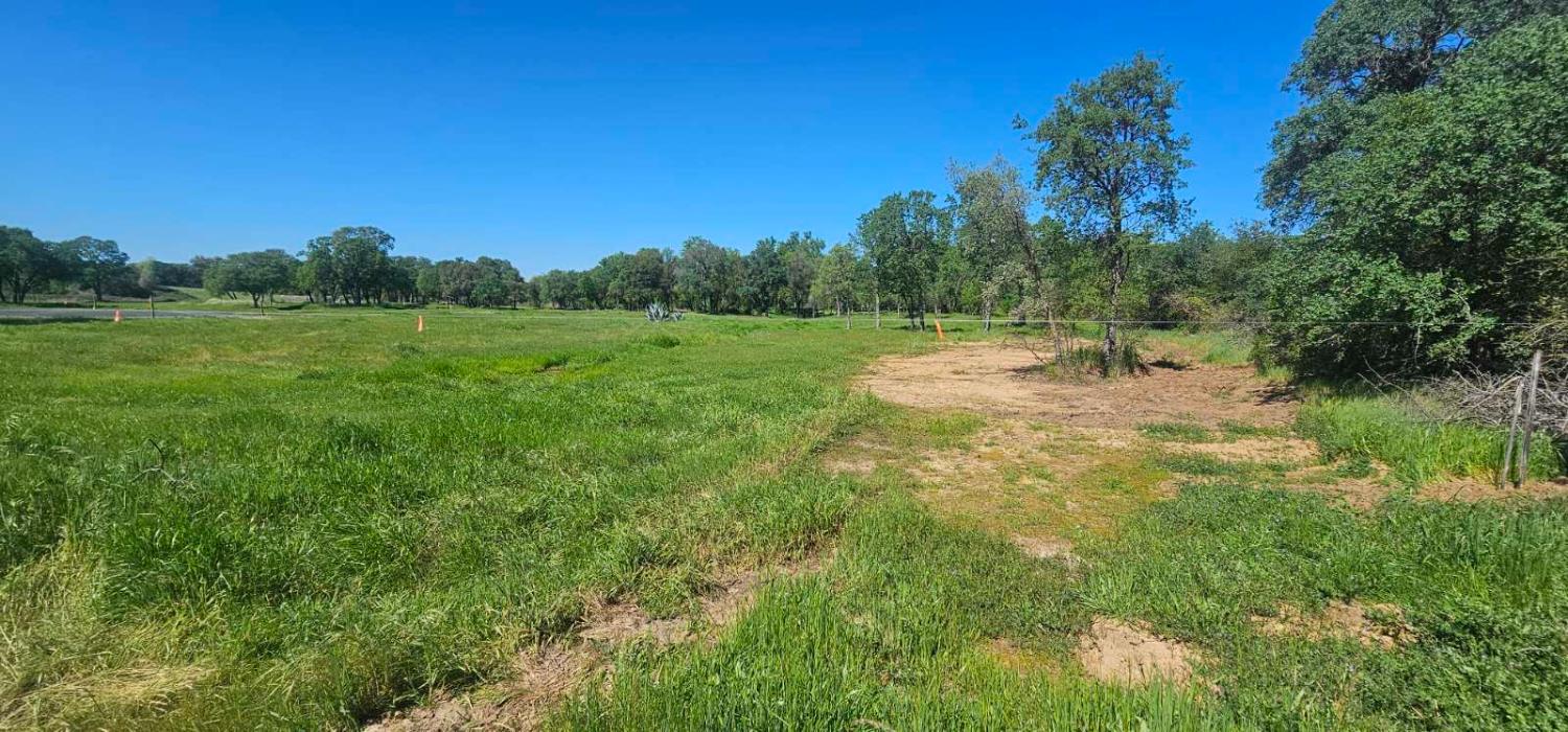 0 Fruitvale Road Lincoln, CA 95648 - Photo 2 of 10