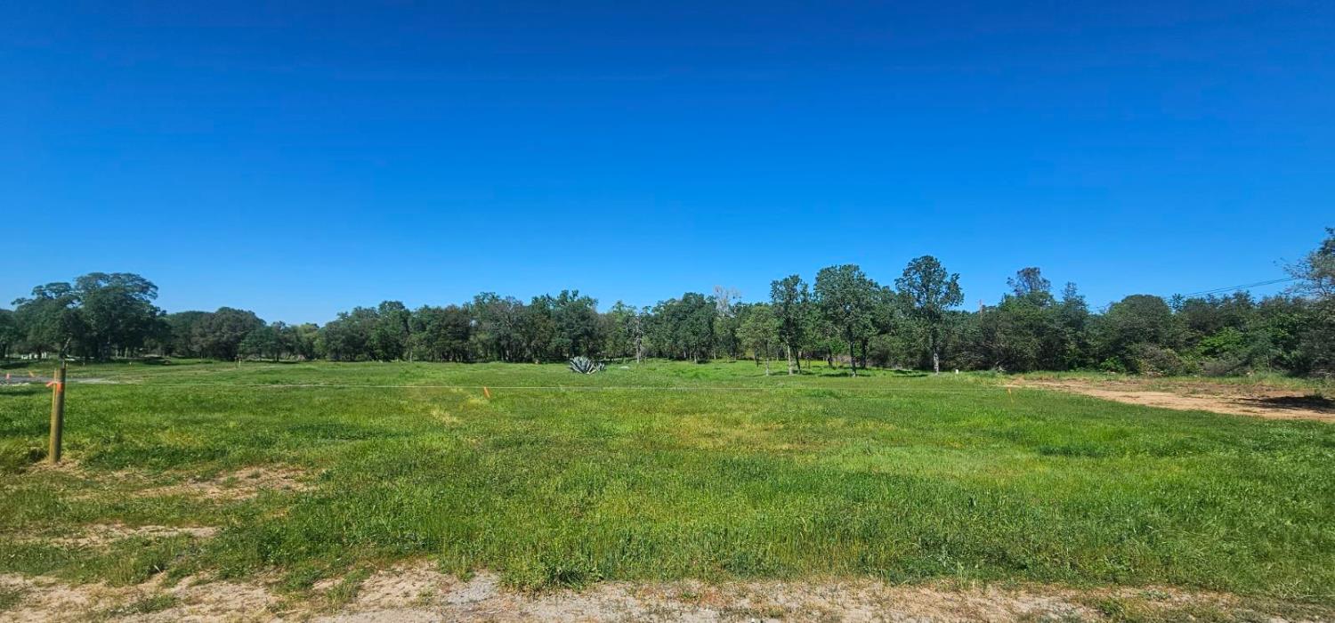 0 Fruitvale Road Lincoln, CA 95648 - Photo 4 of 10