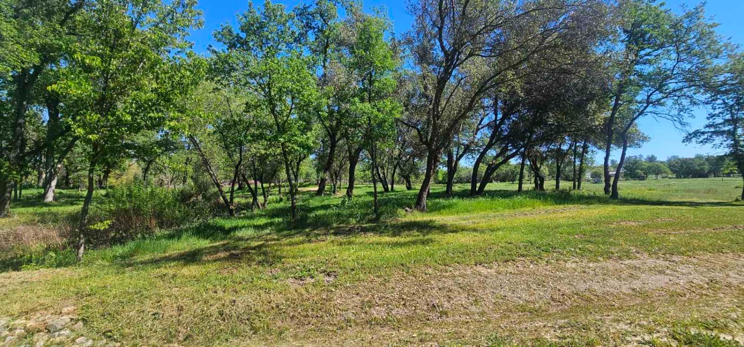 0 Fruitvale Road Lincoln, CA 95648 - Photo 5 of 10