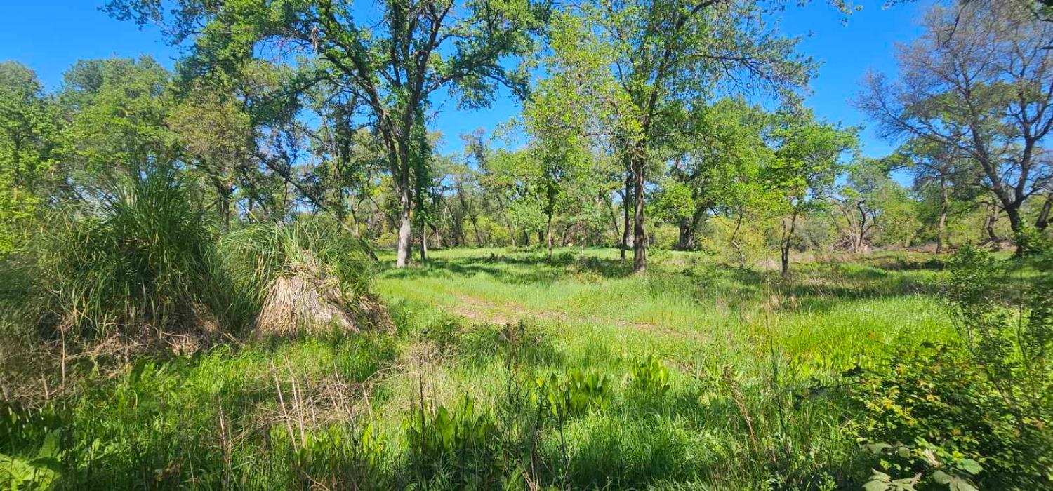 0 Fruitvale Road Lincoln, CA 95648 - Photo 6 of 10