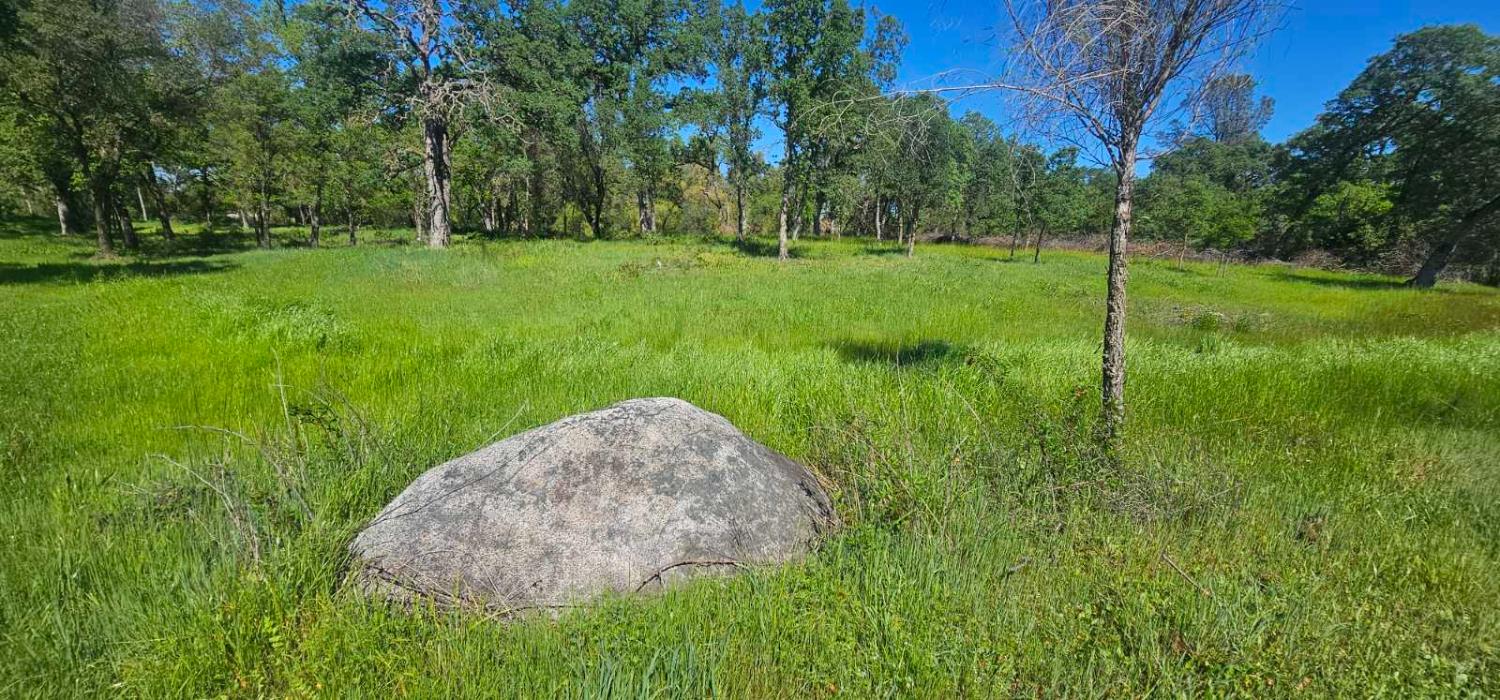 0 Fruitvale Road Lincoln, CA 95648 - Photo 7 of 10