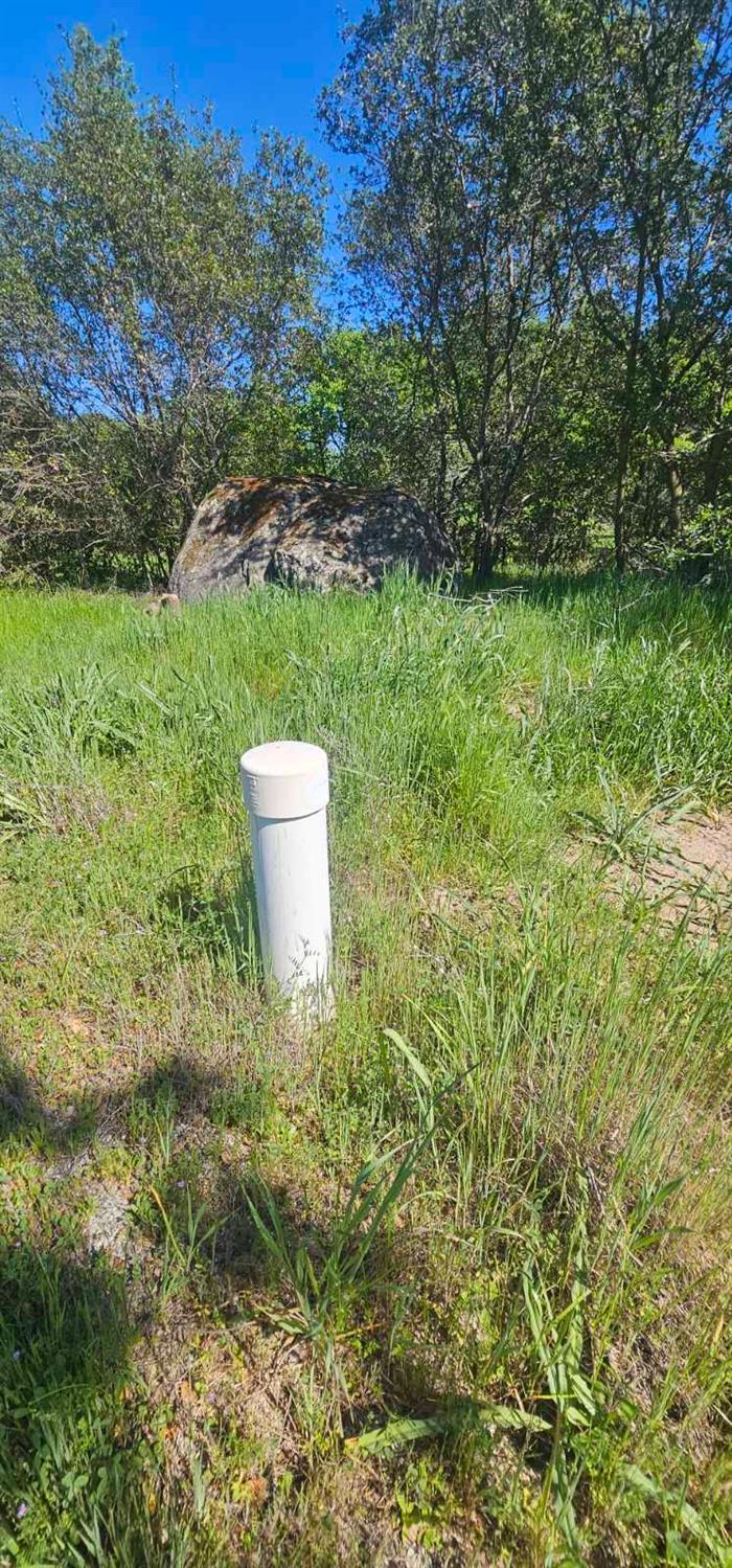 0 Fruitvale Road Lincoln, CA 95648 - Photo 8 of 10