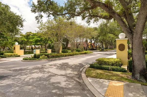 a view of a garden with large trees