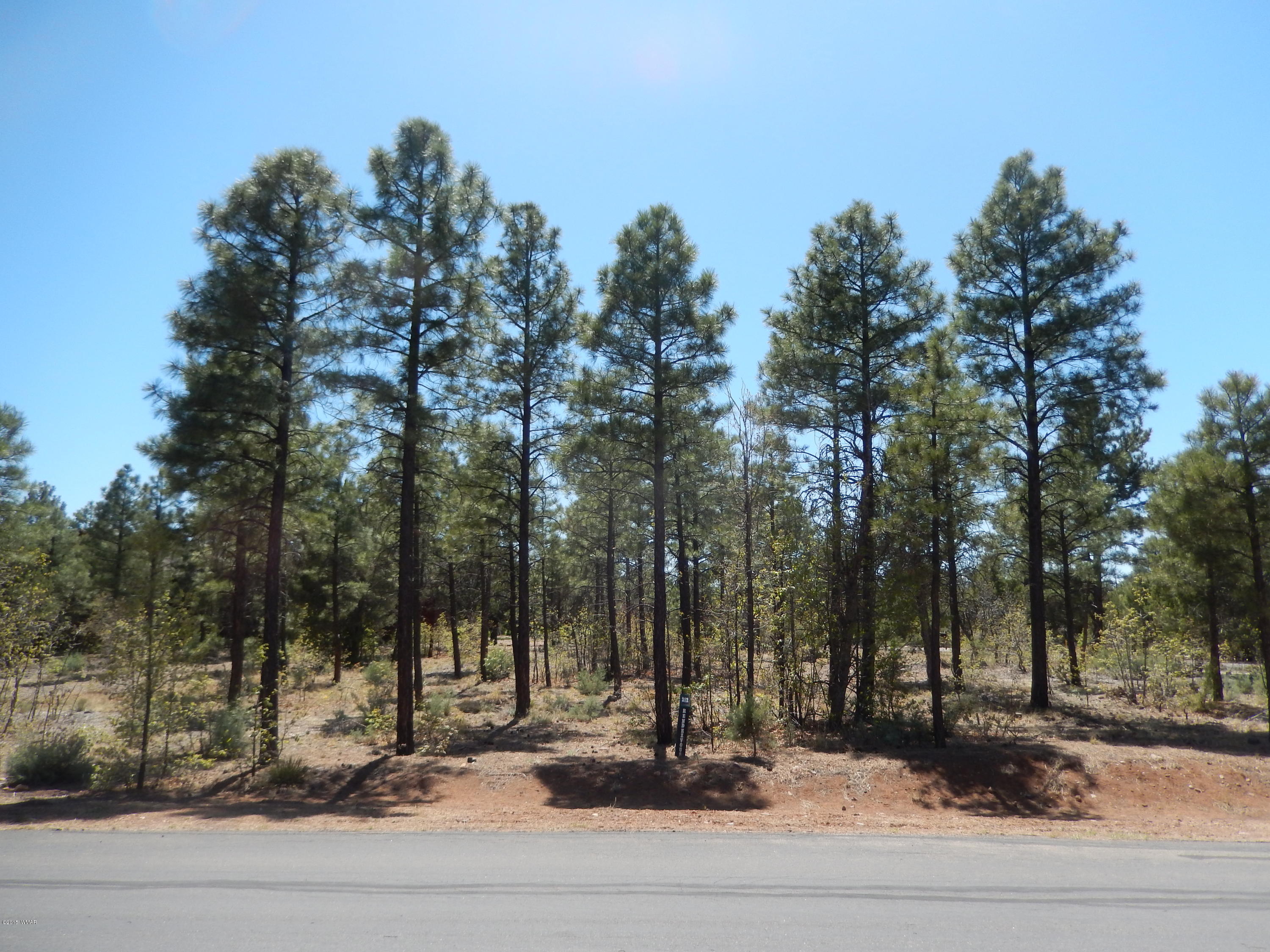 1680 West Falling Leaf Road Show Low, AZ 85901 - Photo 1 of 26