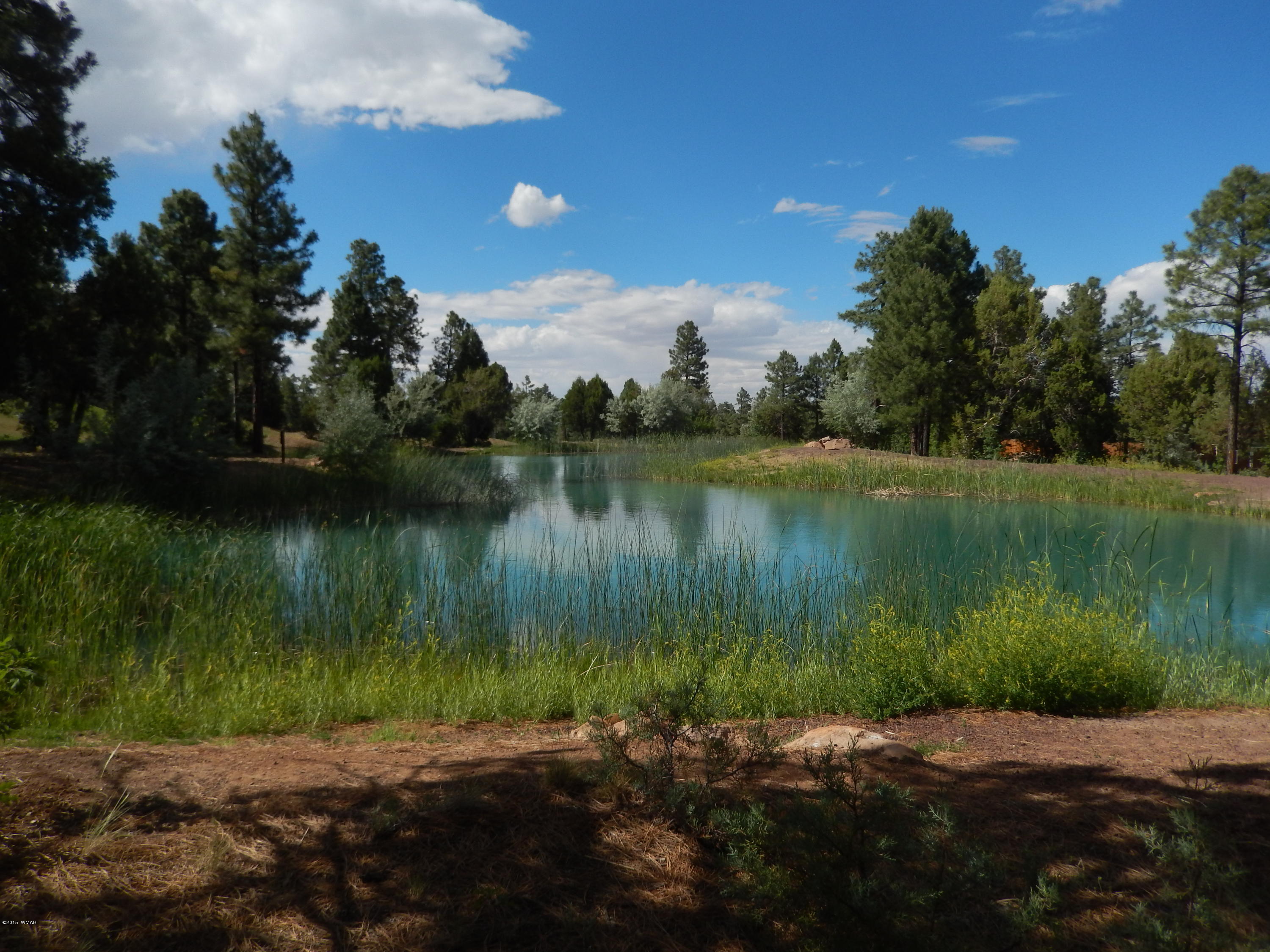 1680 West Falling Leaf Road Show Low, AZ 85901 - Photo 25 of 26