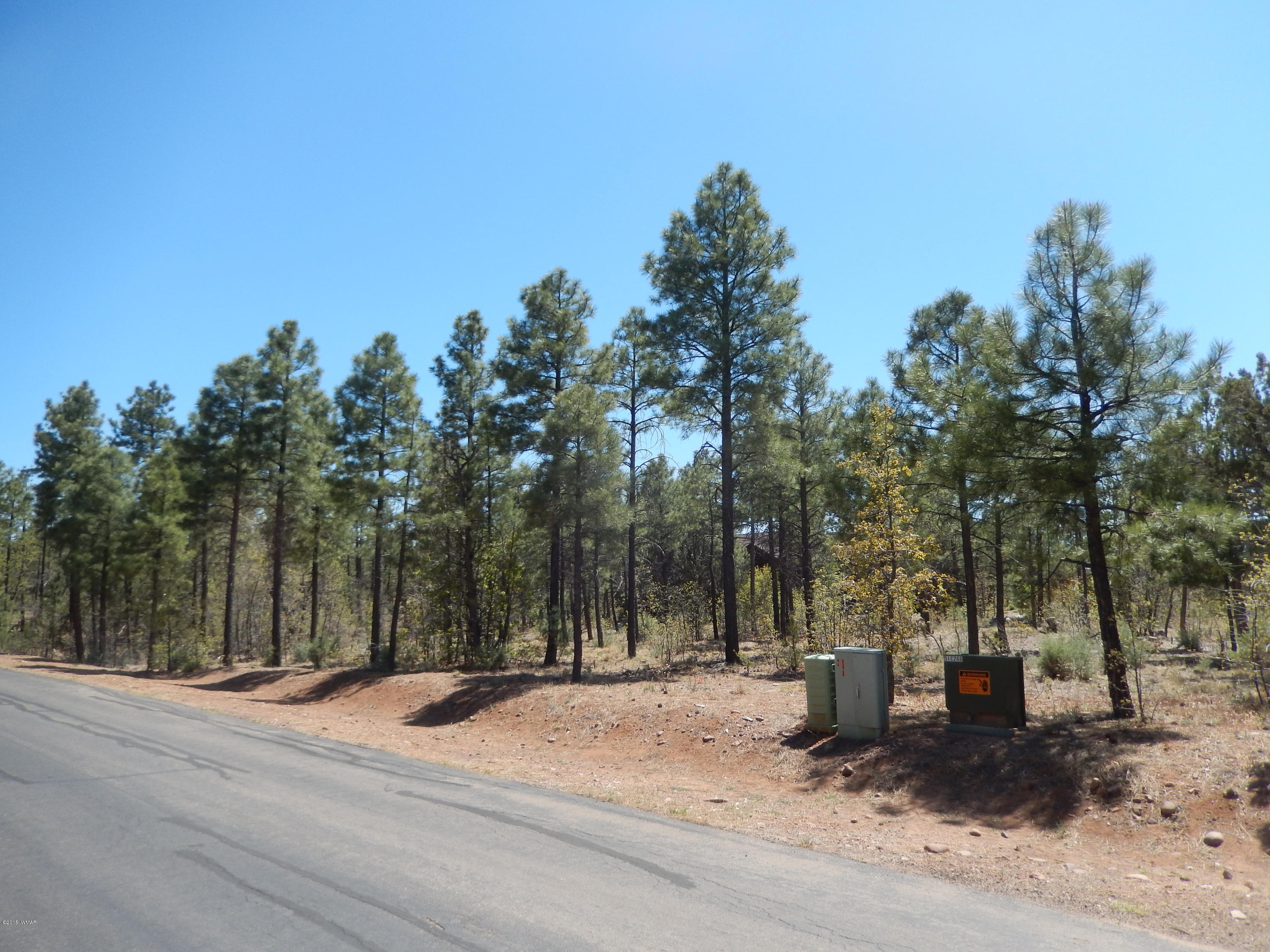 1680 West Falling Leaf Road Show Low, AZ 85901 - Photo 3 of 26
