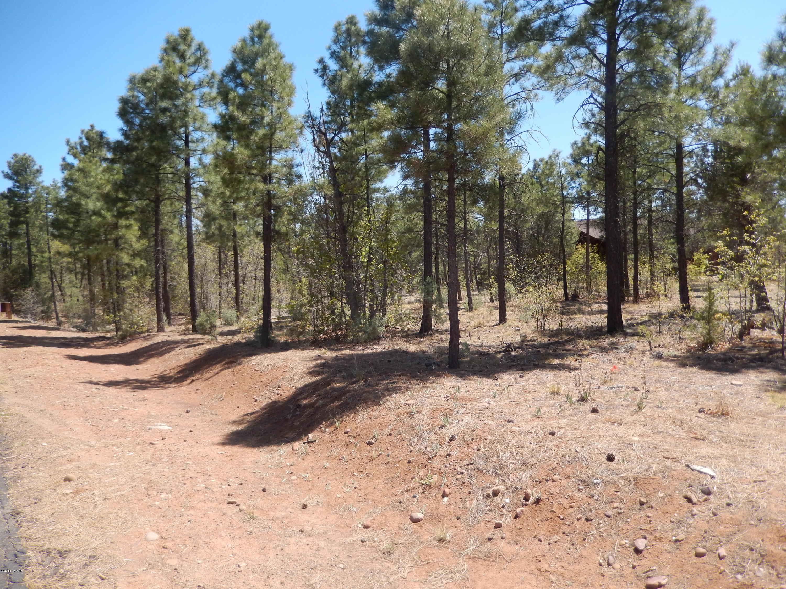 1680 West Falling Leaf Road Show Low, AZ 85901 - Photo 4 of 26