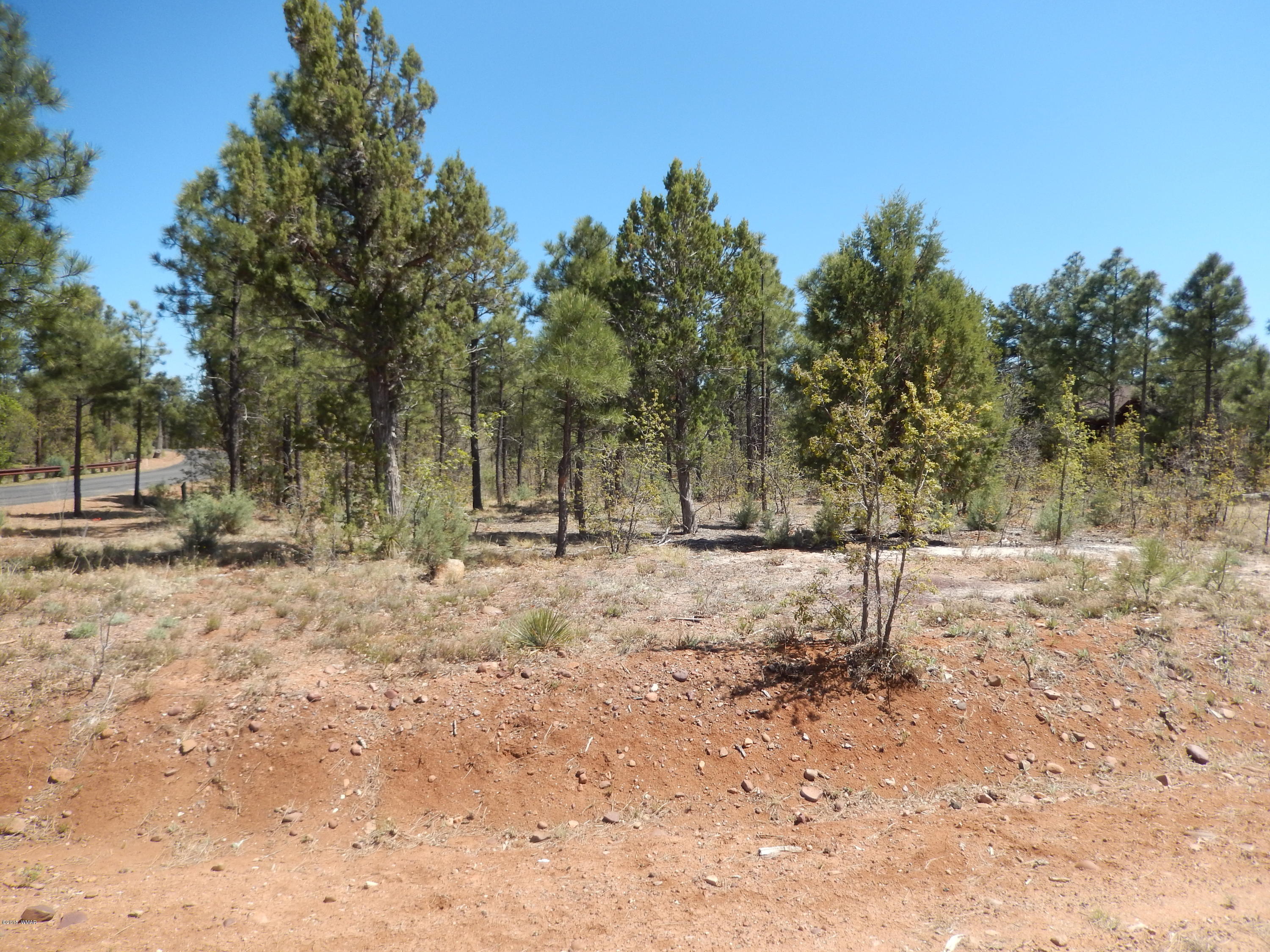 1680 West Falling Leaf Road Show Low, AZ 85901 - Photo 5 of 26