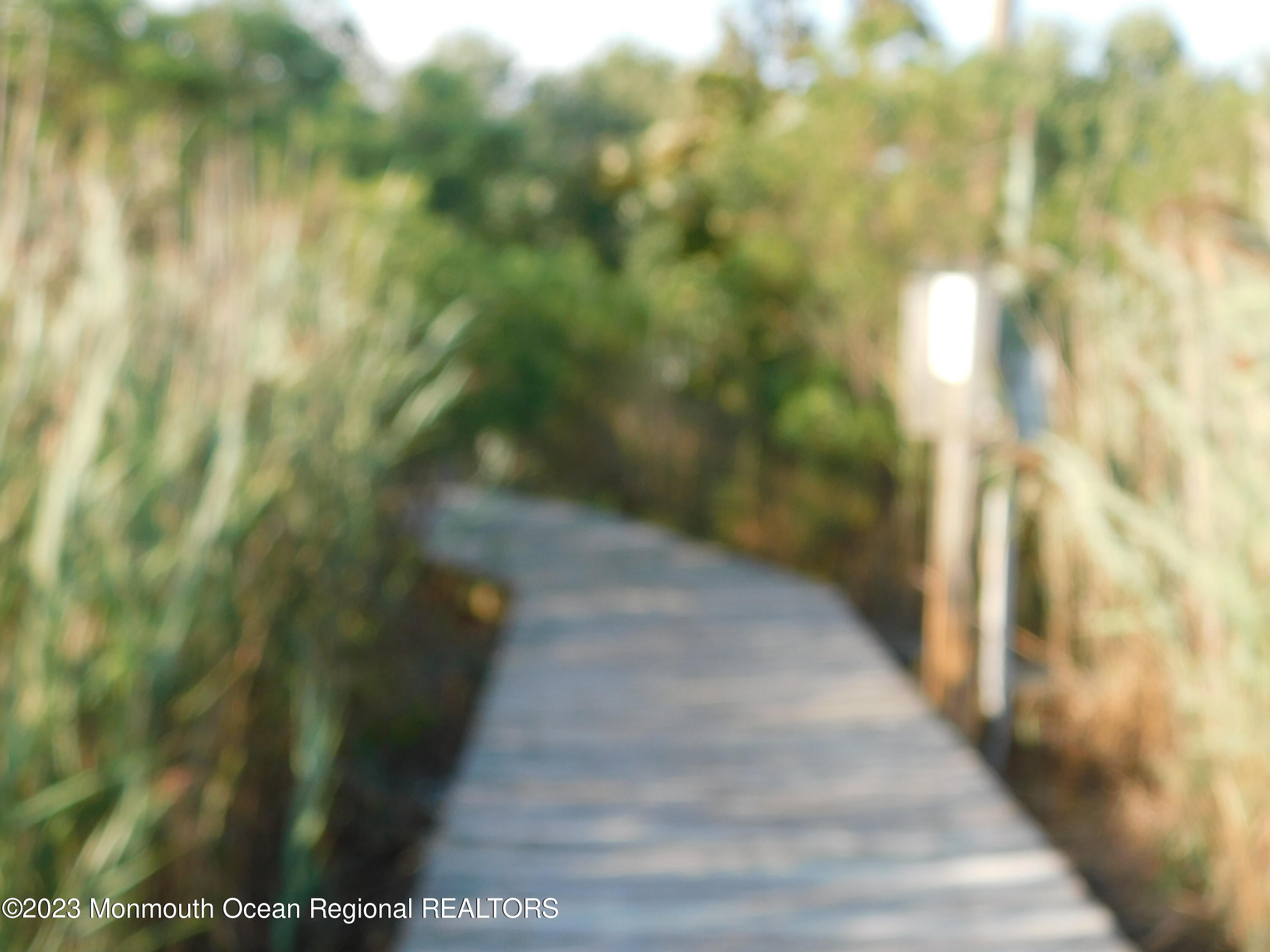 660 Pine Meadow Road Brick, NJ 08724 - Photo 4 of 67 a view of a yard