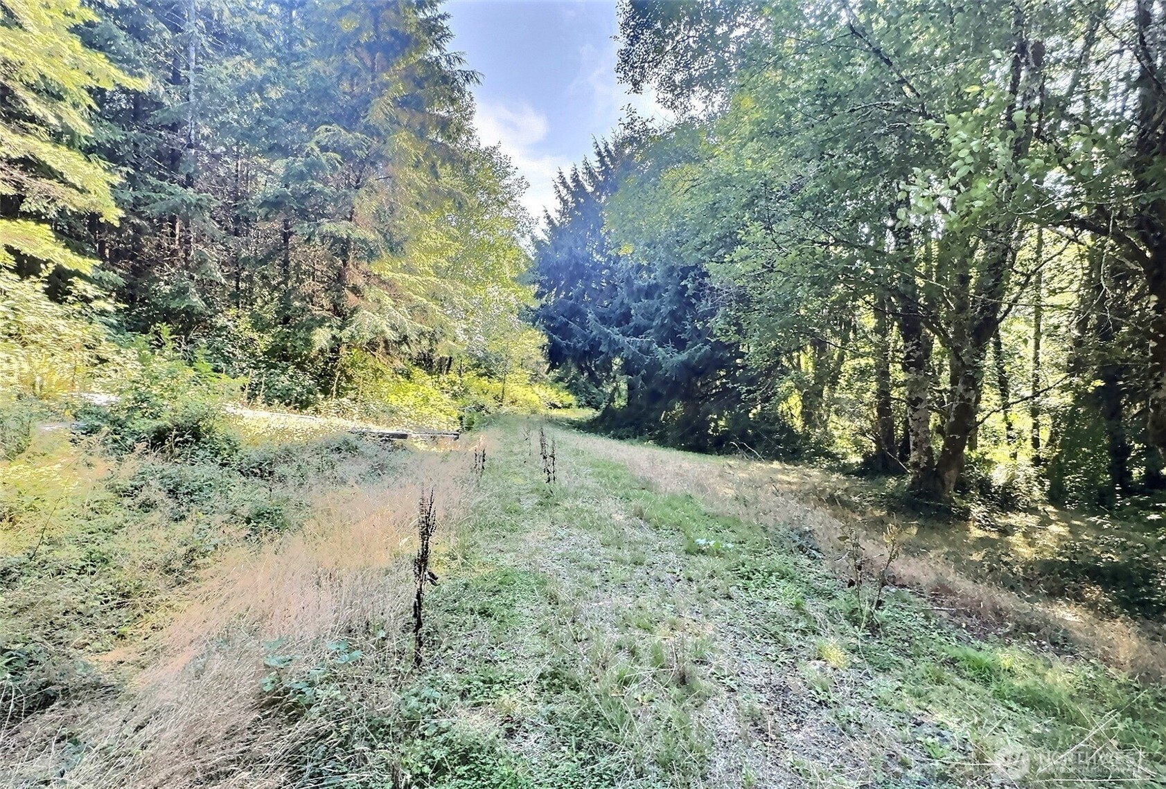 282 Butte Creek Road Raymond, WA 98577 - Photo 8 of 18 Gallery Image 8