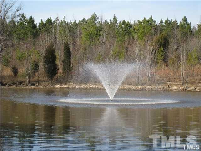 3950 Amelia Park Drive Raleigh, NC 27606 - Photo 15 of 20 a view of a water pond with green trees