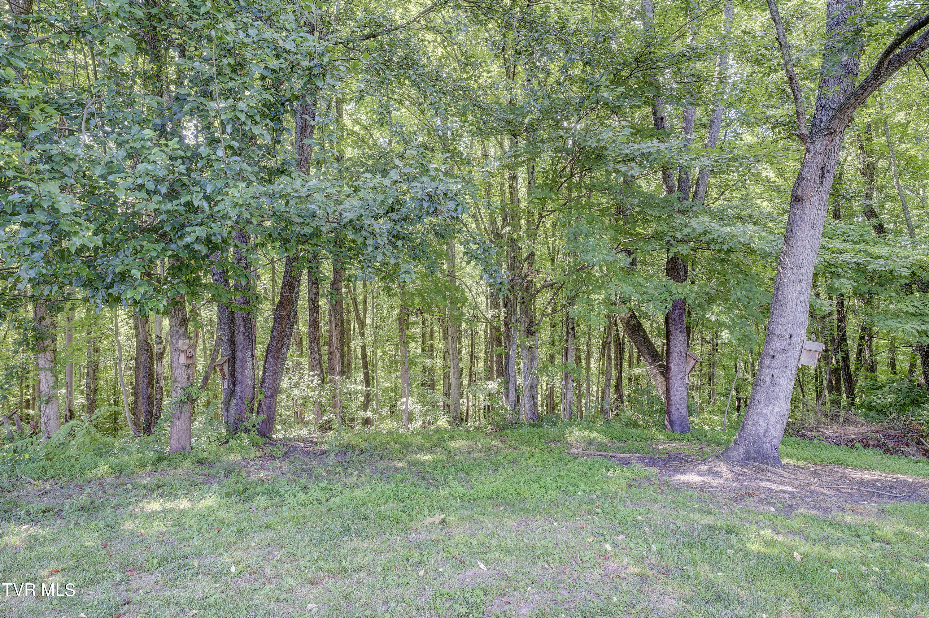 2794 Siam Road Elizabethton, TN 37643 - Photo 25 of 47 Siam-25