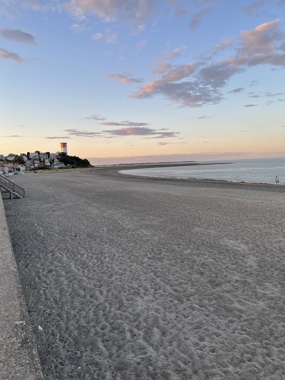 66 Plummer Avenue, Unit 3 Winthrop, MA 02152 - Photo 32 of 33