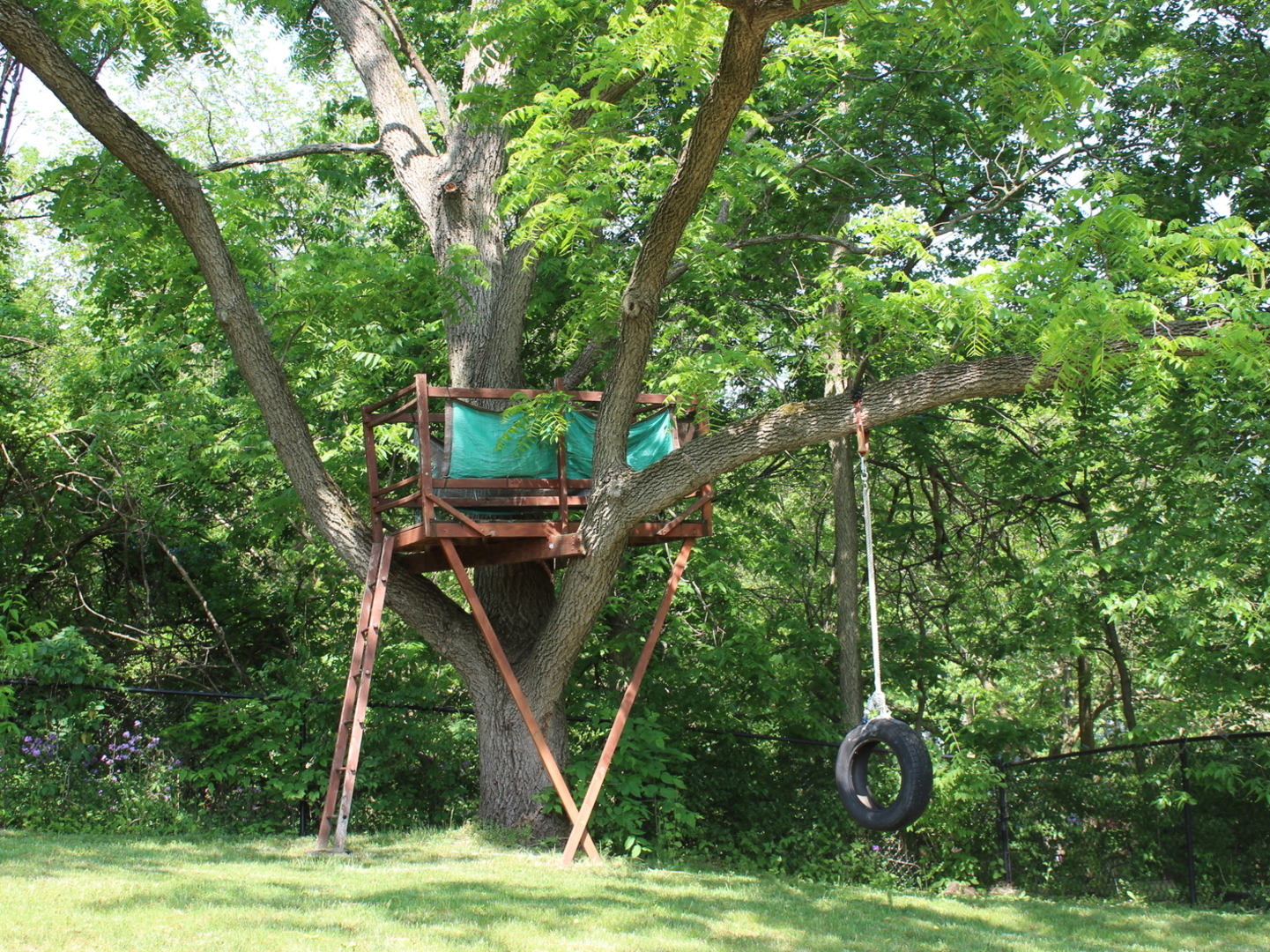 260 Thomas Street Cary, IL 60013 - Photo 12 of 16 a view of a backyard