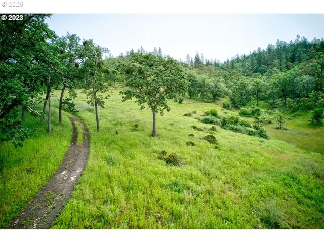 a view of a back yard