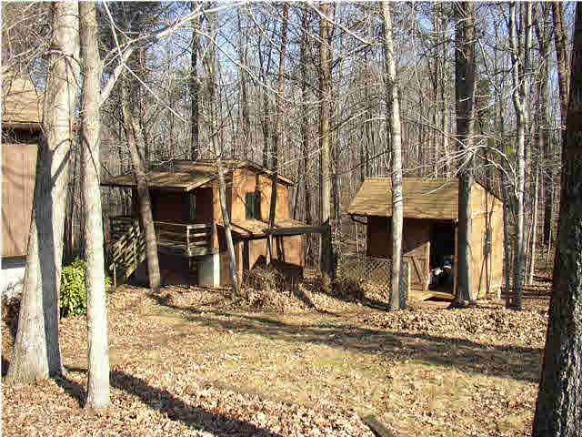 7622 Albevanna Spring Road Scottsville, VA 24590 - Photo 2 of 6 Out buildings