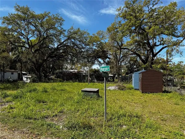 a view of a backyard with large trees
