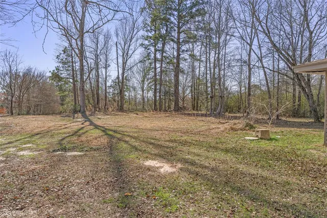 a view of a backyard with trees