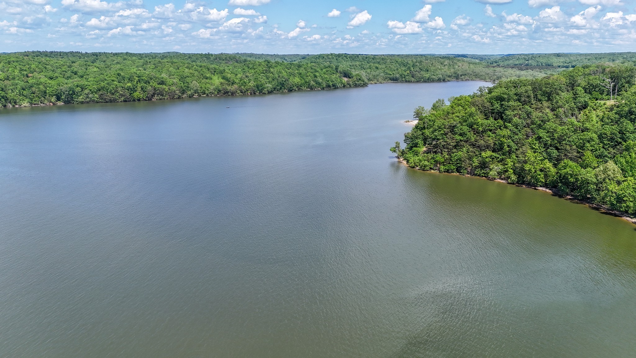 102 Highwater Road Waverly, TN 37185 - Photo 41 of 43 a view of a lake from a yard