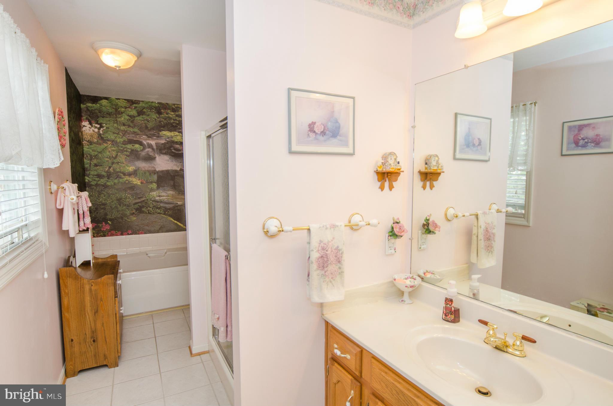 8620 Sandy Plains Road Baltimore, MD 21222 - Photo 13 of 30 a bathroom with a sink a mirror and a bathtub