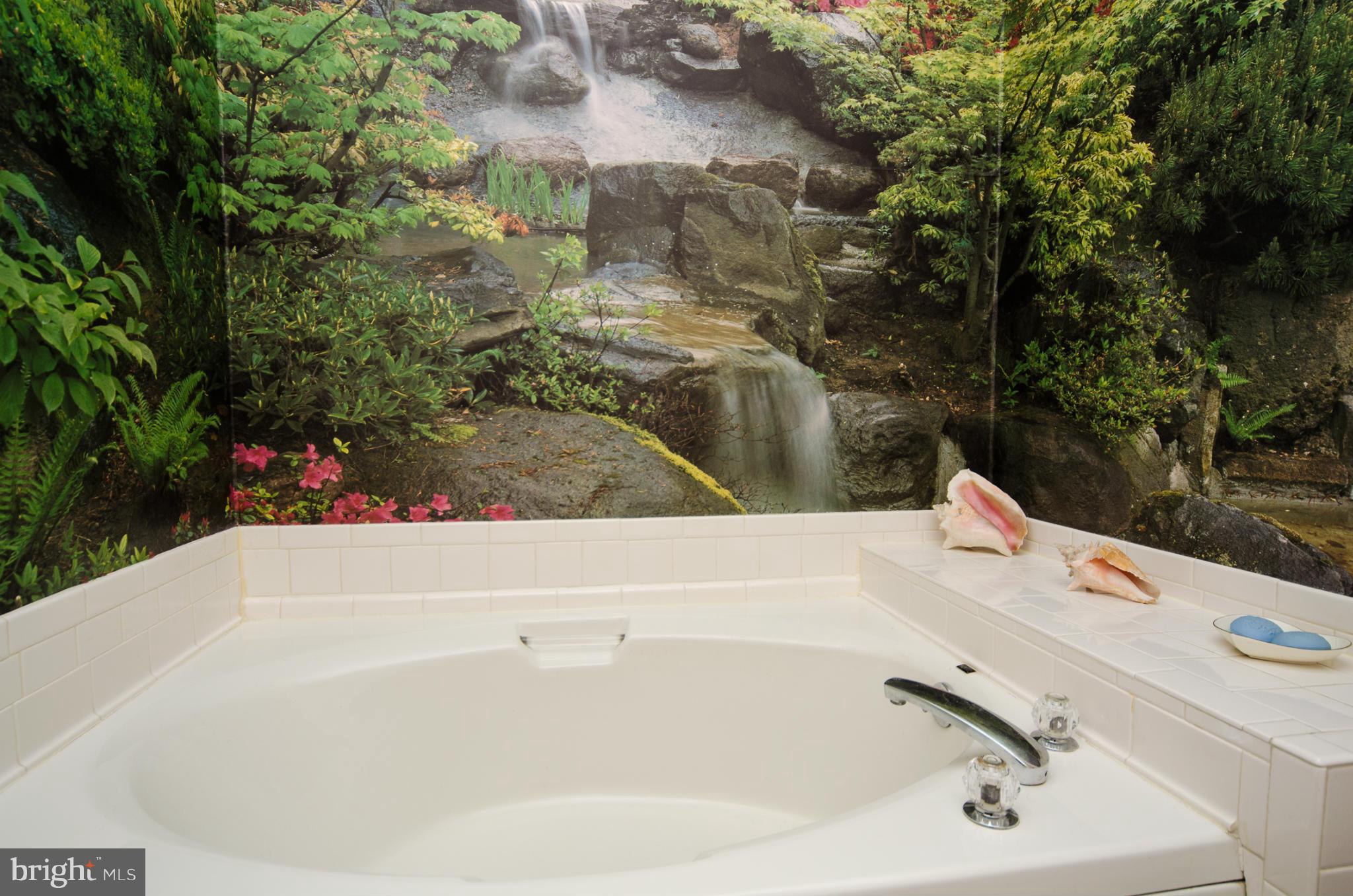 8620 Sandy Plains Road Baltimore, MD 21222 - Photo 14 of 30 a bath tub sitting in a bathroom