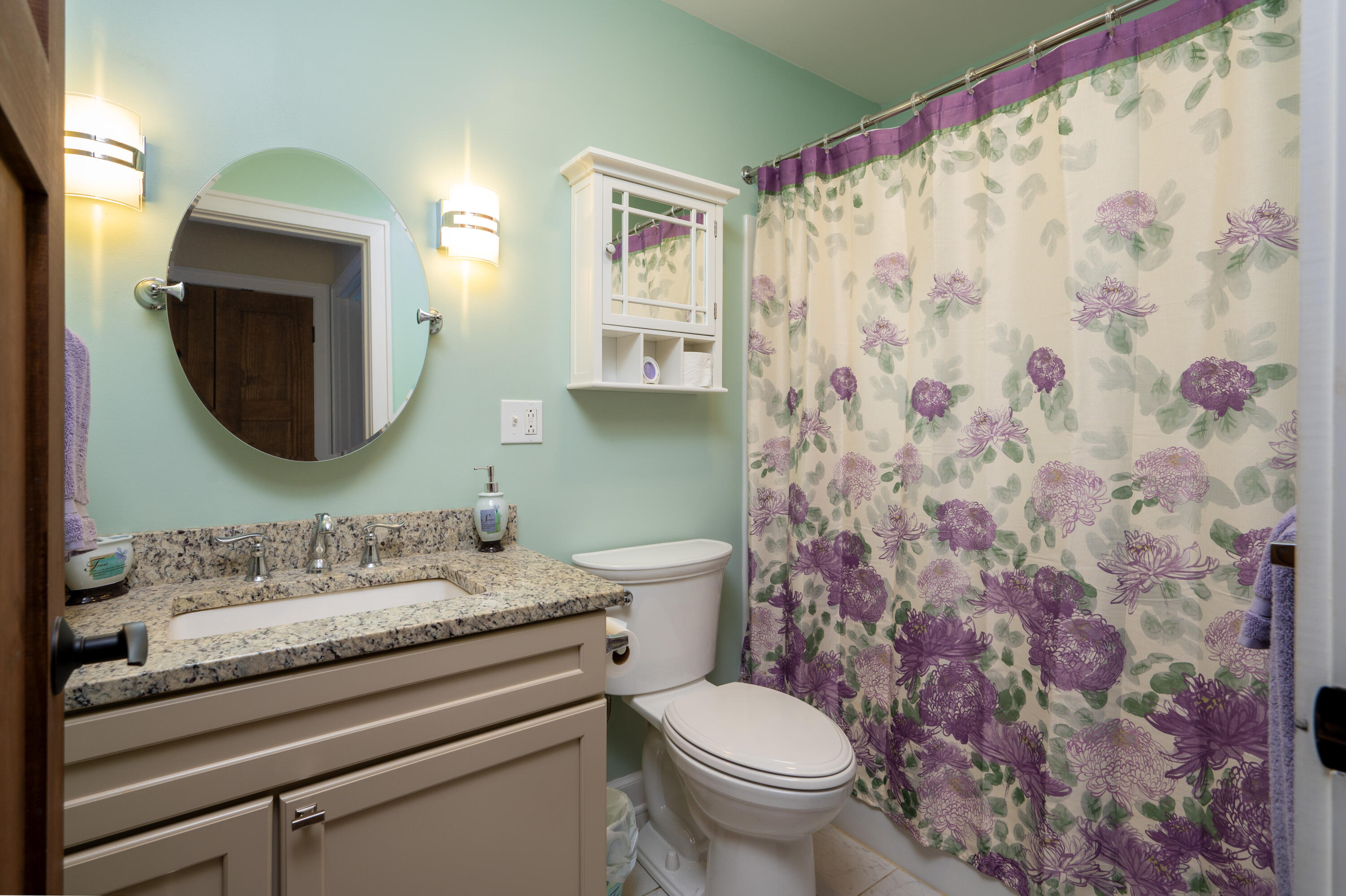 860 Flat Ridge Road Sugar Grove, VA 24375 - Photo 34 of 92 Marion-40