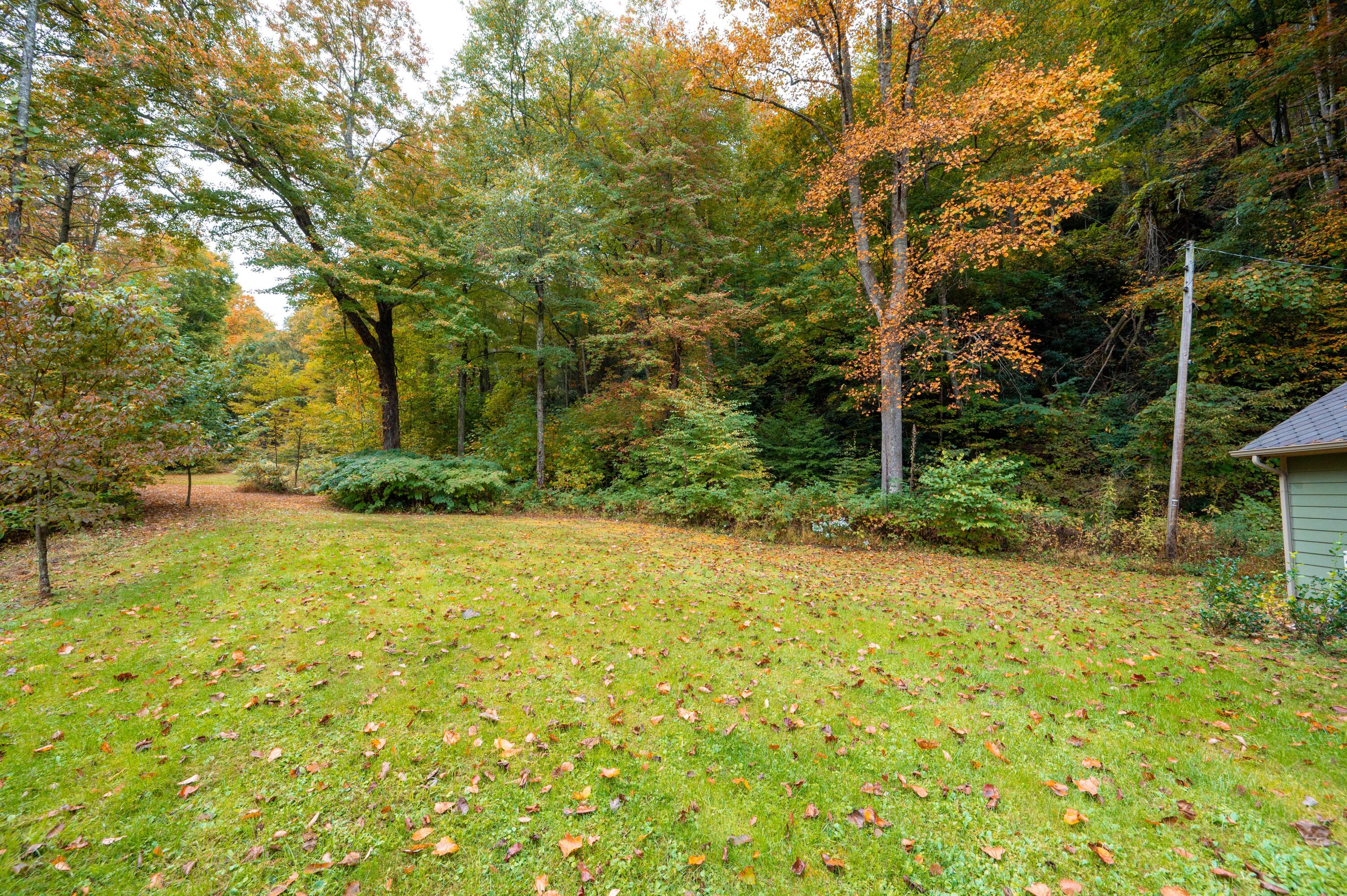 860 Flat Ridge Road Sugar Grove, VA 24375 - Photo 46 of 92 Marion-49