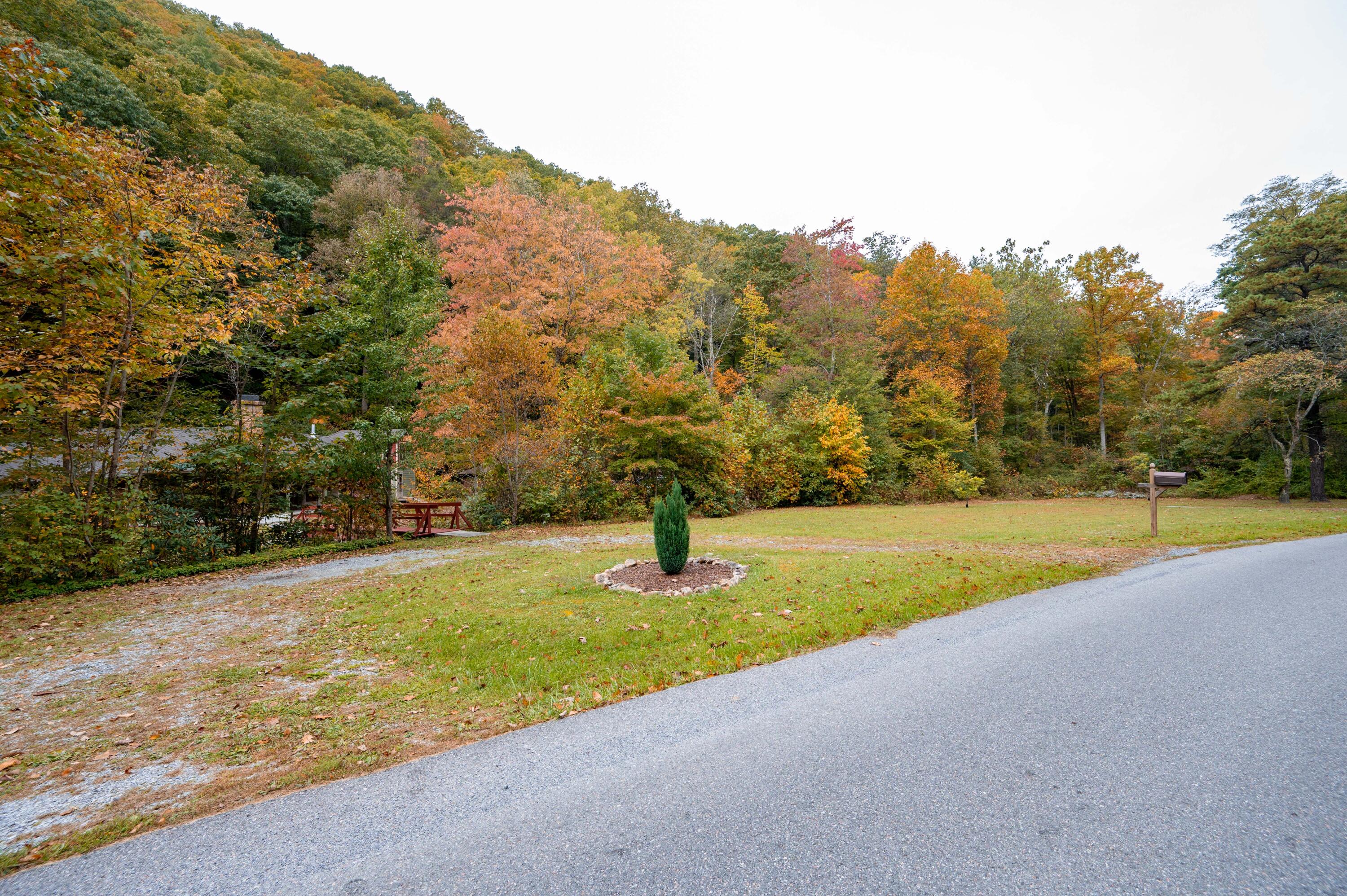 860 Flat Ridge Road Sugar Grove, VA 24375 - Photo 57 of 92 Marion-58