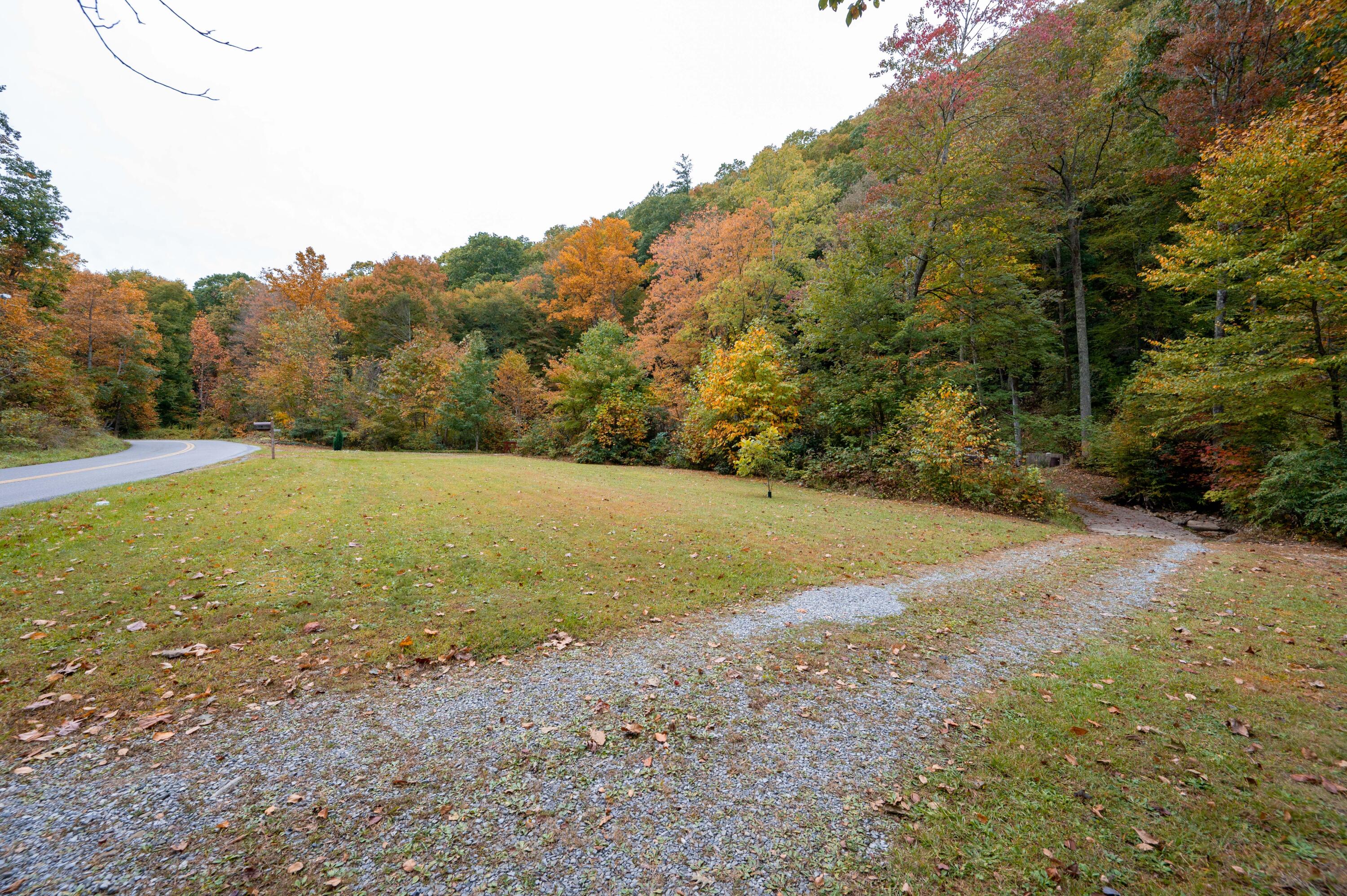 860 Flat Ridge Road Sugar Grove, VA 24375 - Photo 60 of 92 Marion-61